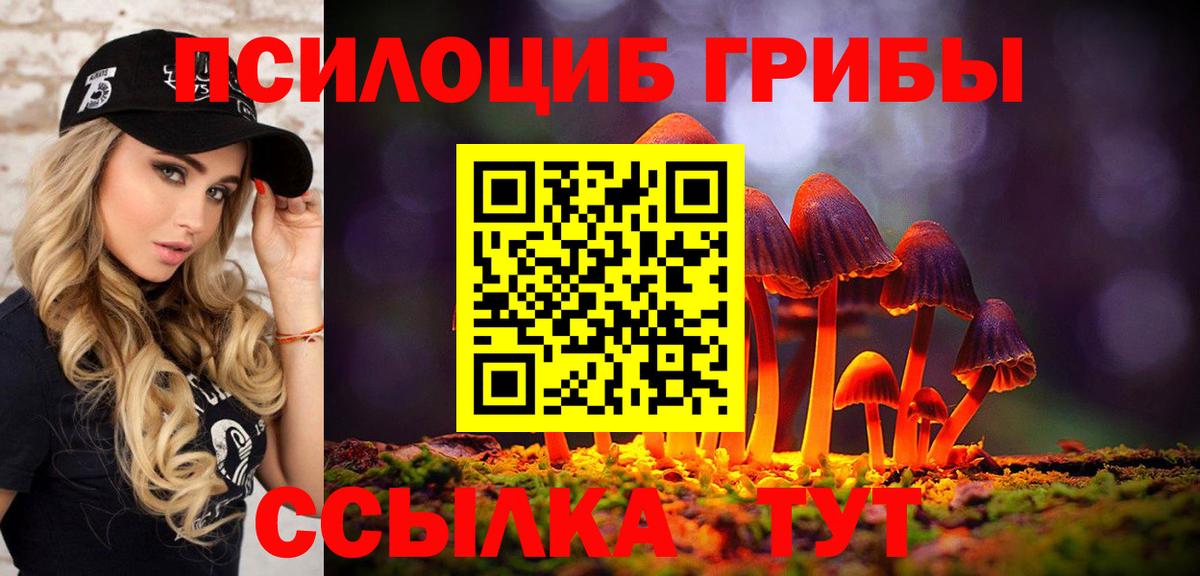 даркнет сайт  Псилоцибиновые грибы GOLDEN TEACHER  Кизилюрт  Вход с VPN  Псилоцибиновые грибы ЛСД 